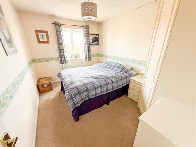 Picture 16